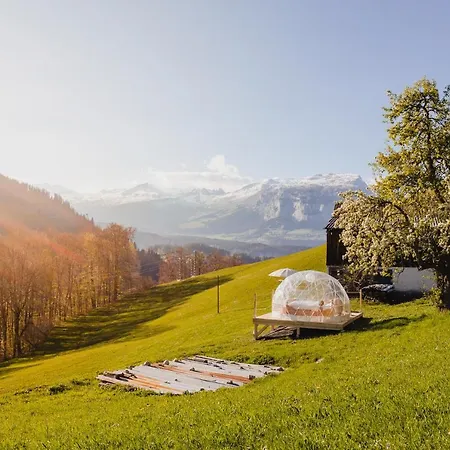 Bubble-suite Hinter Einem Birnenbaum Mit Einzigartigem Blick Luxusní stan