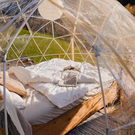 Luxusní stan Bubble-suite Hinter Einem Birnenbaum Mit Einzigartigem Blick Versam